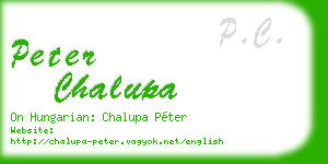 peter chalupa business card